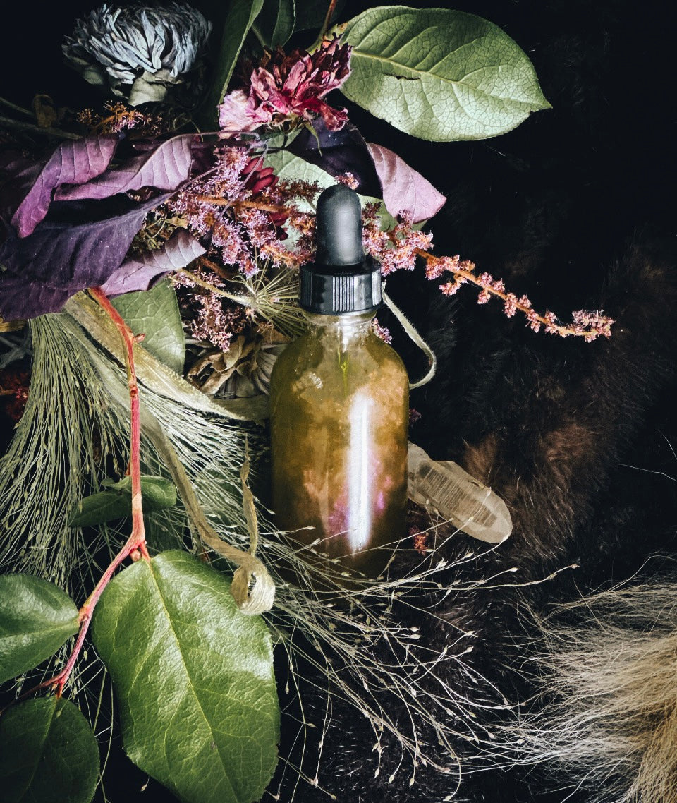 Tears of Venus transmutation oil – Standing Spruce